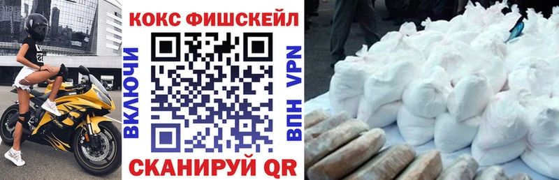 купить наркотик  Юрьевец  COCAIN FishScale 