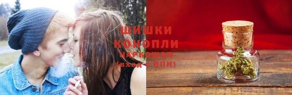 PSILOCYBIN Краснотурьинск