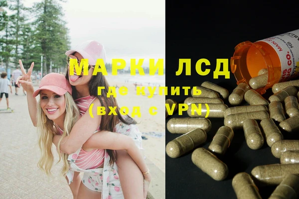 PSILOCYBIN Краснотурьинск