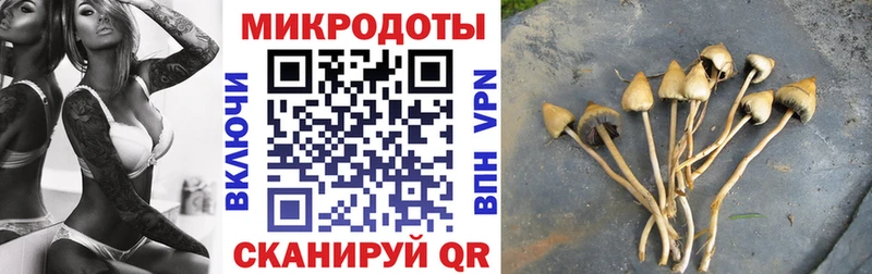это официальный сайт  Юрьевец  Псилоцибиновые грибы GOLDEN TEACHER  купить наркотик 